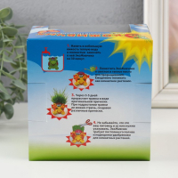 Растущий подарок травка Экоживчик "Черепаха" в подарочной упаковке МИКС