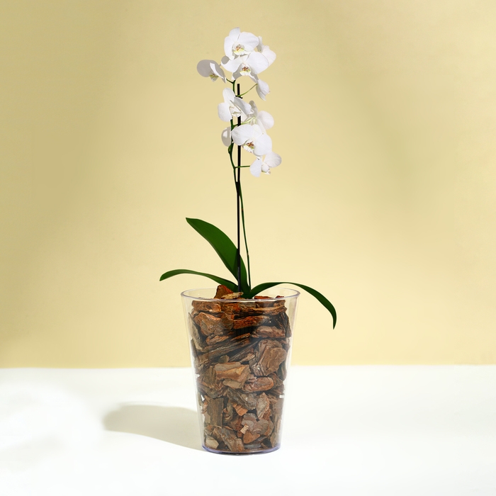 Горшок для орхидей, 1,2 л, 12,5 × 16,6 см, пластик, прозрачный Горшок для орхидей, 1,2 л, 12,5 × 16,6 см, пластик, прозрачный