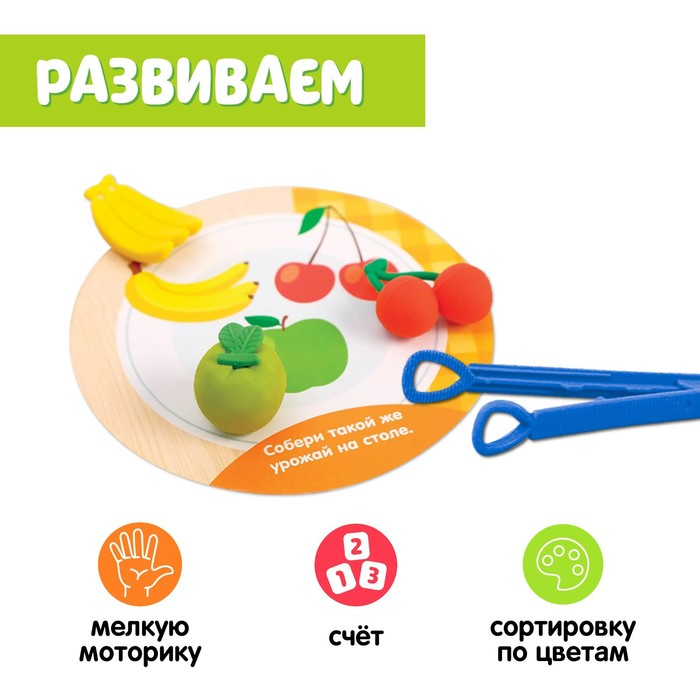 Набор для сортировки «Вкусная тарелка», по методике Монтессори, 20 заданий, 3+ Набор для сортировки «Вкусная тарелка», по методике Монтессори, 20 заданий, 3+