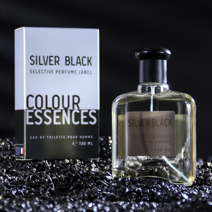 Туалетная вода мужская Colour ssncs Silvr Black, 100 мл (по мотивам Egoiste Platinum (Chanel) Туалетная вода мужская Colour ssncs Silvr Black, 100 мл (по мотивам Egoiste Platinum (Chanel)