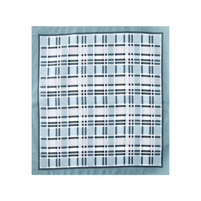 Платки носовые мужские Этель  Платки носовые мужские Этель "Серджио" 30*30 см,(набор 12 шт,) цв.серый, рис. МИКС, 100% хл