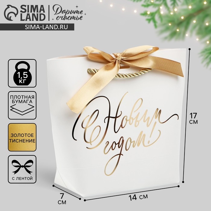 Пакет подарочный новогодний «С Новым годом», 21 х 17 х 7 см Пакет подарочный новогодний «С Новым годом», 21 х 17 х 7 см