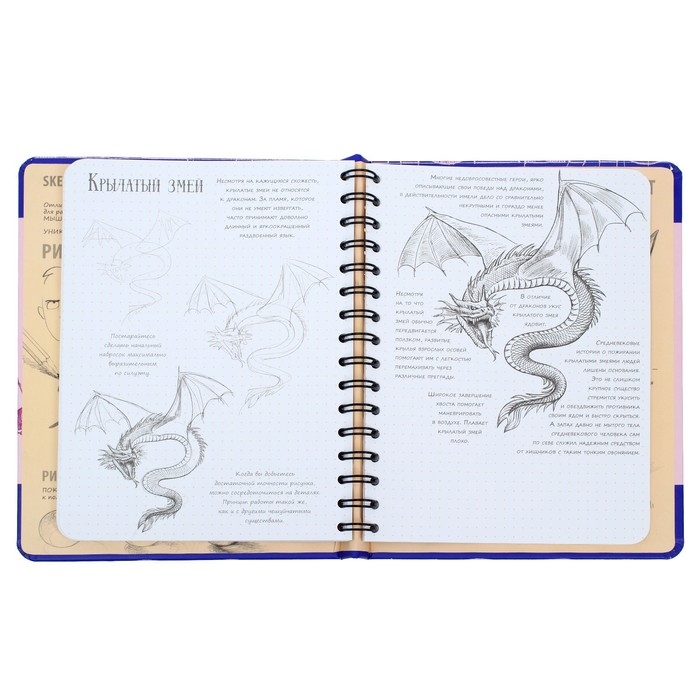 Скетчбук Эксмо ДРСКндск. Sketchbook. Фантастические существа Скетчбук Эксмо ДРСКндск. Sketchbook. Фантастические существа