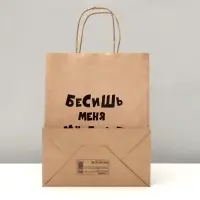 Пакет подарочный «Бесишь много лет», крафтовый, 24×14×28 см