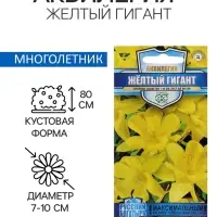 Семена цветов аквилегия «Желтый гигант», цветной пакет, 0.05 г Семена цветов аквилегия «Желтый гигант», цветной пакет, 0.05 г