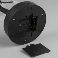 Светодиодный куст &laquo;Цветы&raquo; 45 см, 24 LED, постоянное свечение, от батареек AAx3, USB, свечение тёплое белое