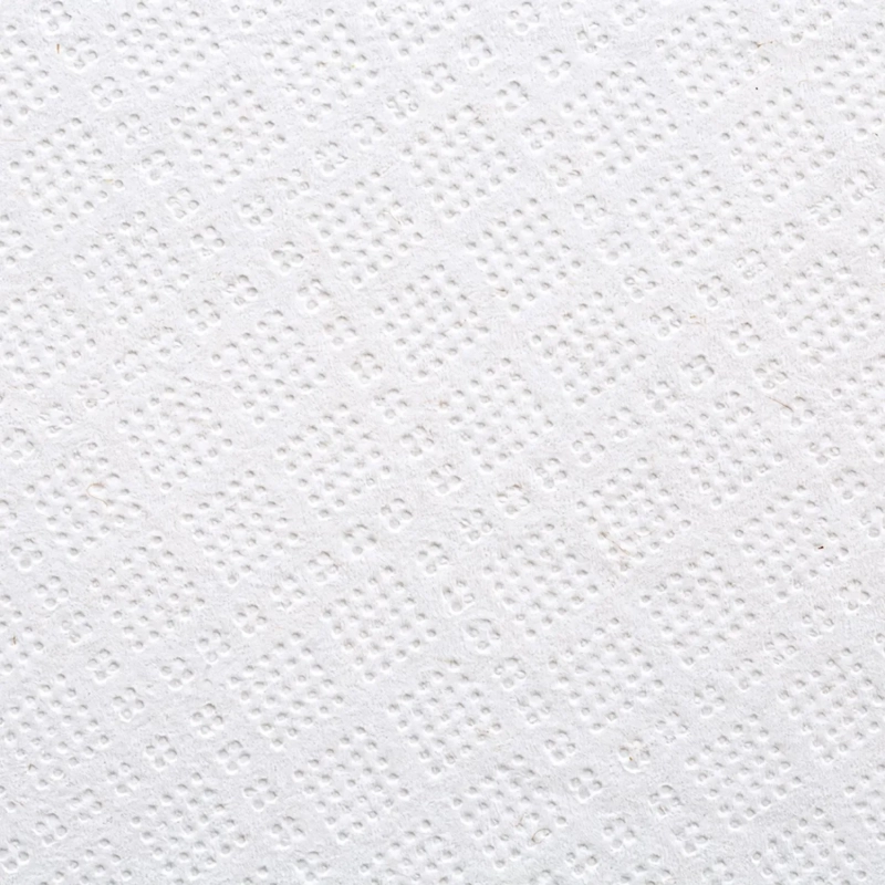 Полотенца бумажные д/держ.FOCUS Jumbo с ЦВ 2сл.125м 6рул 5036772