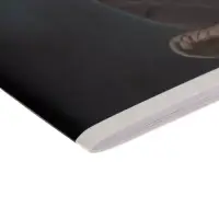 Альбом для рисования Calligrata &laquo;Динозавр&raquo; А4, 32 листа на скрепке, обложка мелованный картон, блок 100 г/м&sup2;