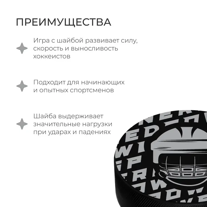 Шайба хоккейная Winter Star, взрослая, d=7.6 см