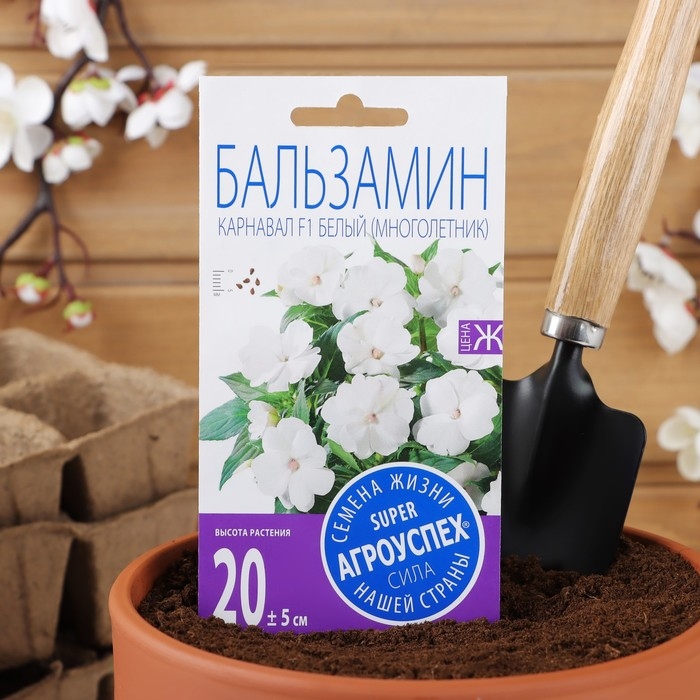 Семена цветов Бальзамин  Семена цветов Бальзамин "Карнавал", белый, Мн., 8 шт