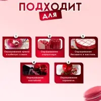 Пищевой краситель Top Decor гелевый &laquo;Брусничная&raquo;, 100 г