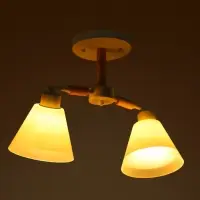 Люстра потолочная BayerLux &laquo;Вудли&raquo;, 2хЕ27, 40 Вт, белый, 45&times;16&times;29 см