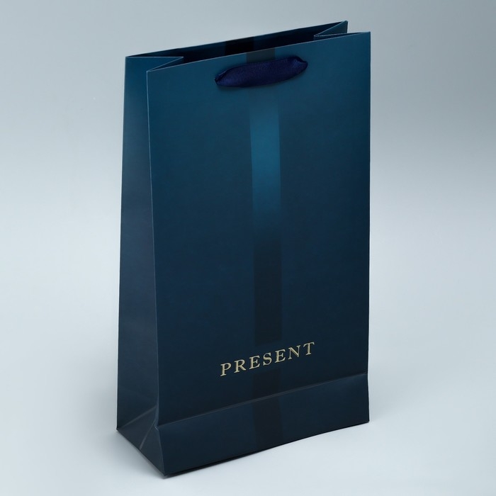 Пакет подарочный под две бутылки, упаковка, «Present», 35 х 20 х 9 см Пакет подарочный под две бутылки, упаковка, «Present», 35 х 20 х 9 см