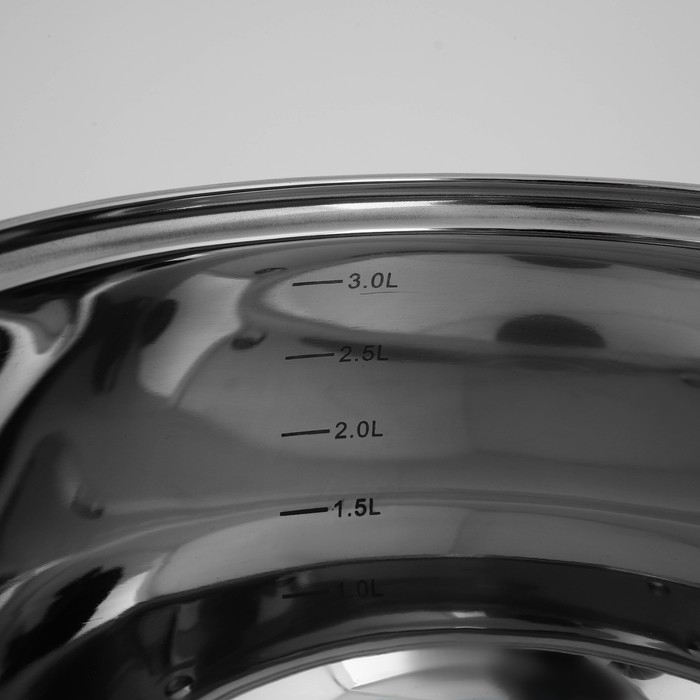 Кастрюля из нержавеющей стали Доляна «Вернер», 3,5 л, d=20 см, с крышкой, индукция Кастрюля из нержавеющей стали Доляна «Вернер», 3,5 л, d=20 см, с крышкой, индукция