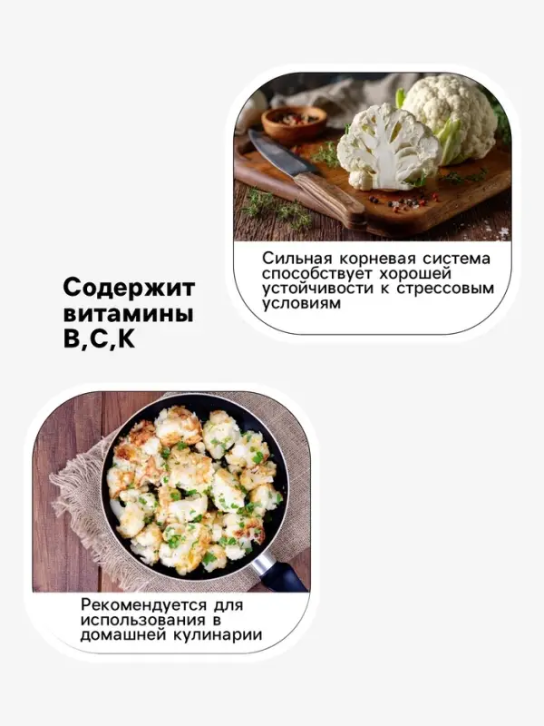 Семена Капуста цветная, &laquo;Форталеза&raquo;, F1, 10 шт., Seminis, &laquo;Агрос&raquo;