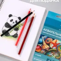 Карандаши цветные акварельные &laquo;Гамма. Студия&raquo; 12 цветов, грифель 3.8 мм, картонная коробка