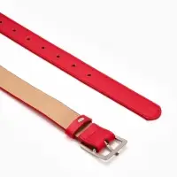 Ремень жен 05-01-02-01, Июнь2508, 3*0,3*110 см, без винта, пряж мат металл, 1 прокол, красн 109031 Ремень жен 05-01-02-01, Июнь2508, 3*0,3*110 см, без винта, пряж мат металл, 1 прокол, красн 109031