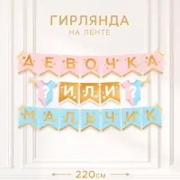 Гирлянда на ленте &laquo;Гендер пати&raquo;, мальчик или девочка, длина 220 см