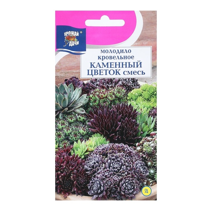 Семена цветов Молодило  Семена цветов Молодило "КАМЕННЫЙ ЦВЕТОК", смесь, 0,005 г