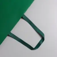 Пакет подарочный ламинированный горизонтальный &laquo;Изумрудный&raquo;, 40&times;32&times;13 см