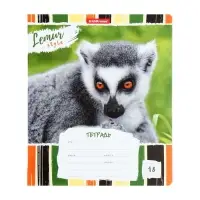 Тетрадь 18 листов в линейку, ErichKrause Lemur Style, МИКС