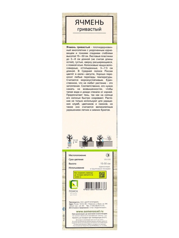 Ячмень гривастый, туба, 1 шт, Весна 2025 Ячмень гривастый, туба, 1 шт, Весна 2025