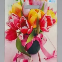 Пакет подарочный &laquo;Сиеста&raquo;, полиэтиленовый с вырубной ручкой, 29&times;40 см, 35 мкм