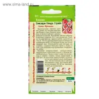 Семена цветов Космея "Сенсация" Кенди Страйп, О, ц/п, 0,5 г