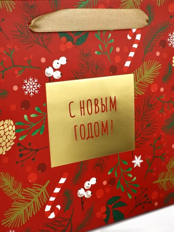Пакет подарочный новогодний ламинированный &laquo;С Новым годом&raquo;, MS 23&times;18&times;10 см