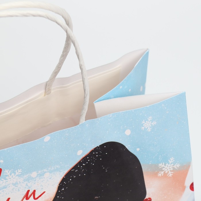 Пакет подарочный новогодний крафтовый «Согревайся», 25 х 22 х 12 см, Новый год