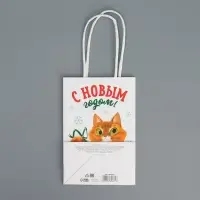 Пакет подарочный новогодний крафтовый «С Новым годом», 15 х 10 х 6 см Пакет подарочный новогодний крафтовый «С Новым годом», 15 х 10 х 6 см