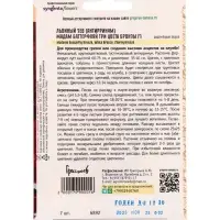 Семена цветов Львиный Зев Мадам Баттерфляй Три Цвета Бронзы (Madame Butterfly Bronze, White Bronze,