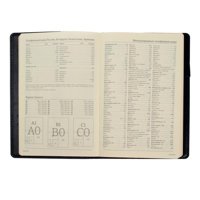 Ежедневник полудатированный А5, 208 листов Profy, рециклированная кожа, сменный блок, золотой срез, чёрный Ежедневник полудатированный А5, 208 листов Profy, рециклированная кожа, сменный блок, золотой срез, чёрный