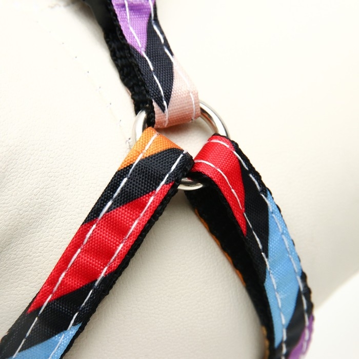 Комплект амуниции двухслойный, S, поводок 120х1 см,ОШ 24-38 ОГ 29-41 см, разноцветные полосы 96837 Комплект амуниции двухслойный, S, поводок 120х1 см,ОШ 24-38 ОГ 29-41 см, разноцветные полосы 96837