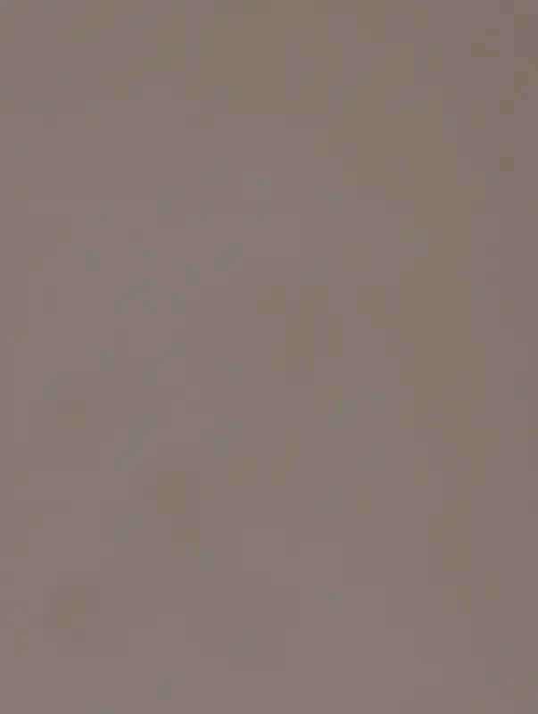 Пленка флористическая для цветов, &laquo;Полупрозрачная кайма&raquo;, черная, 57&times;57 см