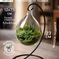 Флорариум &laquo;На подвесе&raquo;, h=23 см, 12&times;7.5 см, капелька d=5.5&times;4.5 см
