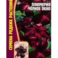 Семена цветов Плюмерия Черное Окно  3 шт.  12.29 г.