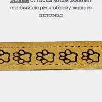 Ошейник, 45&times;2 см, с подкладом, тиснение, кожа, бежевый