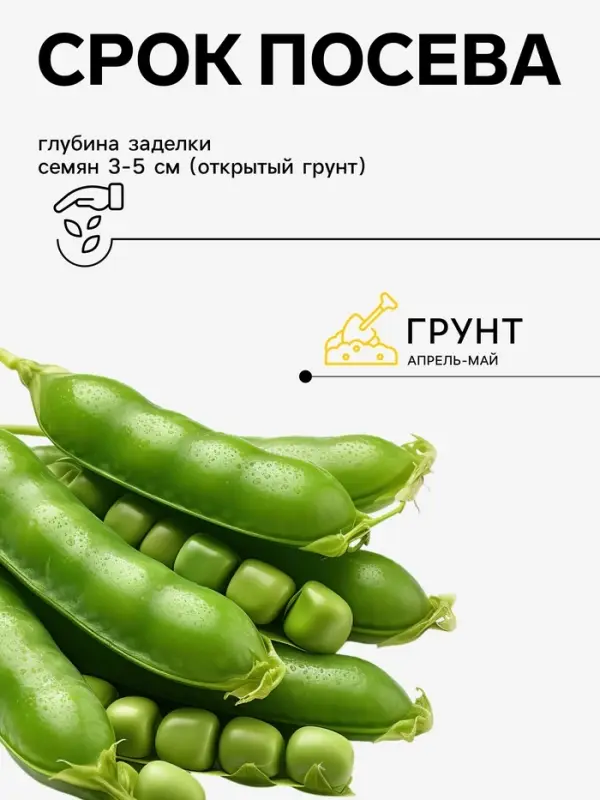 Семена Горох овощной &laquo;Детский&raquo; сахарный, раннеспелый, низкорослый, 10 г, &laquo;Евро-семена&raquo;