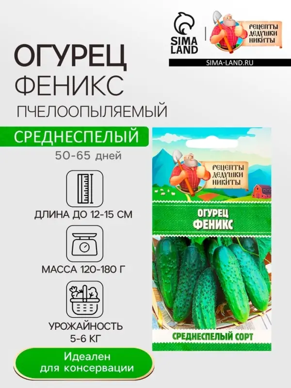 Семена Огурец «Феникс», пчелоопыляемый, среднеспелый, 0.5 г