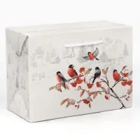 Пакет—коробка «Зима в деревне», снегири, 28 х 20 х 13 см