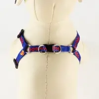 Комплект Super Dog, шлейка 26-39 см, поводок 120х1 см
