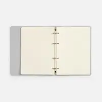 Ежедневник Ringo, недатированный, серебристый Ежедневник Ringo, недатированный, серебристый