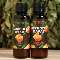 Новогодний набор ароматизаторов &laquo;Сочного Нового Года&raquo;, в подарочной коробке, апельсин, кедр, 2 шт. по 100 мл