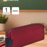 Пенал школьный &laquo;Бордо&raquo;, на молнии, МИКС