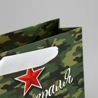 Пакет подарочный ламинированный, упаковка, «С 23 февраля», S 15 х 12 х 5.5 см