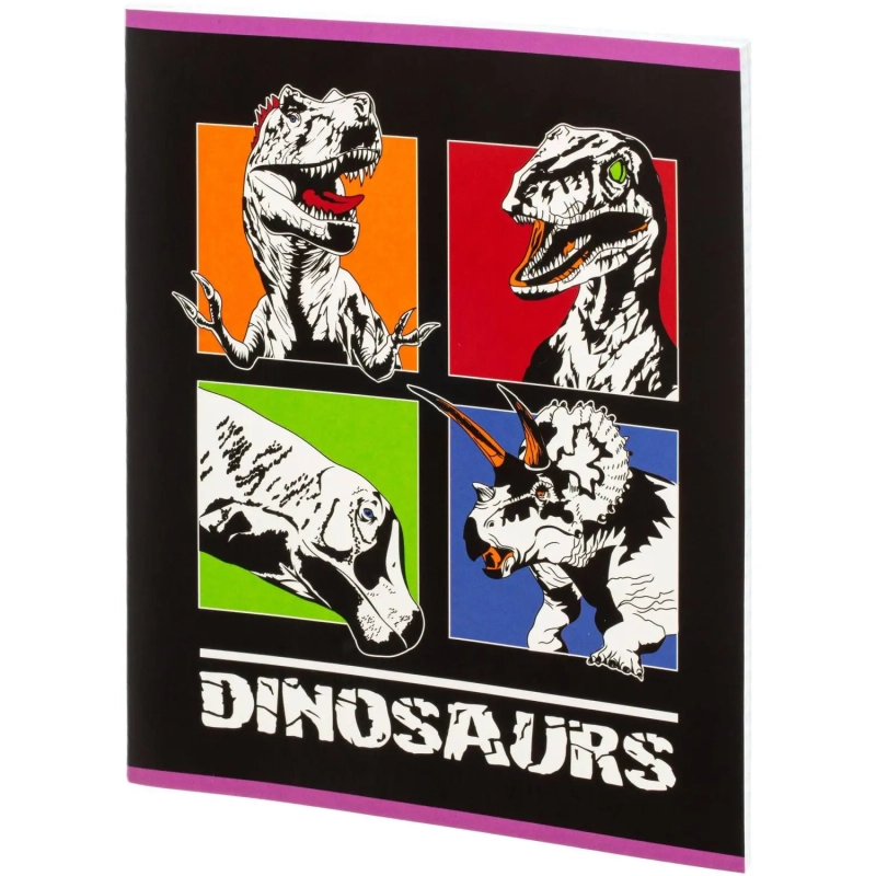 Тетрадь общая А5 48л с полями, клетка, микс в ассортименте, 40шт/уп