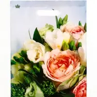 Пакет &laquo;Романтическое настроение&raquo;, полиэтиленовый с вырубной ручкой, л 40&times;31 см, 60 мкм