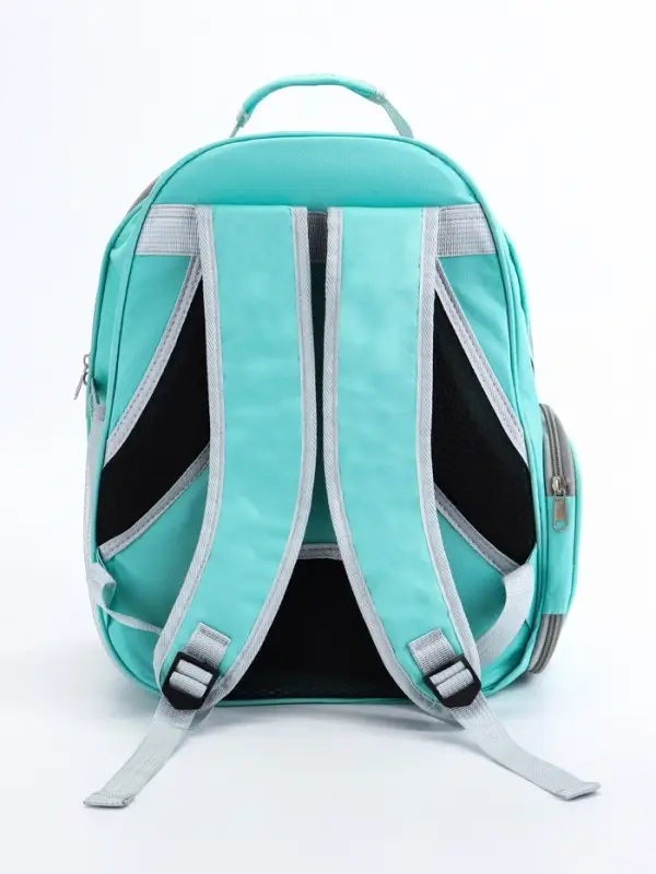 Рюкзак для переноски животных прозрачный, 31 х 28 х 42 см, бирюзовый Рюкзак для переноски животных прозрачный, 31 х 28 х 42 см, бирюзовый
