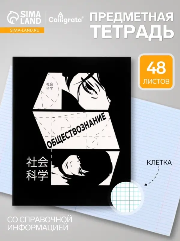 Предметная тетрадь по обществознанию Calligrata &laquo;Комикс Аниме&raquo;, 48 листов, в клетку, со справочным материалом, обложка из мелованного картона